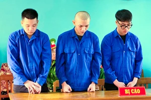 3 án tù xuất phát từ mâu thuẫn của hai cô gái
