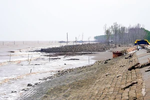 TP Cần Thơ công bố tình huống khẩn cấp về thiên tai sự cố sạt lở bờ biển