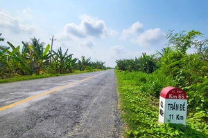 Dự kiến khởi công nâng cấp tuyến Nam Sông Hậu đoạn qua Cần Thơ trong năm 2026