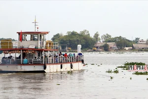 Bến phà Trần Phú nối Cần Thơ - Vĩnh Long hoạt động trở lại từ hôm nay
