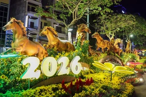 Khai mạc đường hoa nghệ thuật Cần Thơ mừng Xuân Bính Ngọ 2026