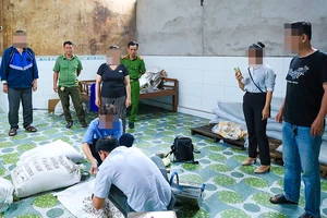 Phát hiện hàng chục tấn phân bón chưa được phép lưu hành trong 1 cửa hàng