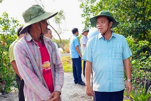 Siết chặt quản lý, ngăn chặn tình trạng lấn chiếm đất lâm nghiệp tại Mũi Cà Mau
