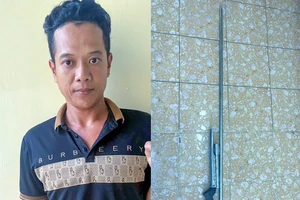 Mua súng tự chế trên mạng để bắn chim: Vẫn bị tội hình sự