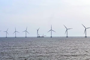 Cà Mau hướng tới mục tiêu trở thành trung tâm năng lượng tái tạo vùng ĐBSCL