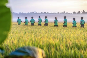 Khám phá cung đường băng qua vườn trái cây đặc trưng của miền Tây