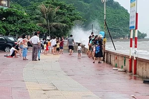 Bão số 2 đổ bộ Hải Phòng - Nam Định