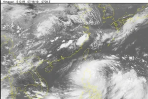 Chủ động ứng phó với bão DANAS gần biển Đông