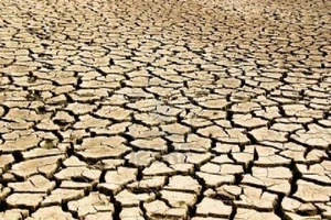 Ảnh minh họa. Nguồn: Internet