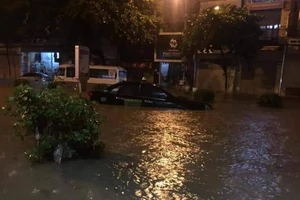 Cây xanh nhiều tuyến phố Hà Nội gục đổ sau bão số 3