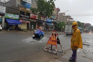 Bão số 3: Hà Nội đang mưa lớn, cây xanh gãy đổ la liệt