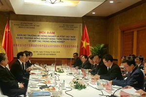 Trung Quốc muốn hợp tác với Việt Nam chống rầy nâu