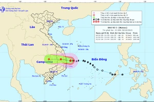 Bão số 5 đang đổ bộ ven biển Quảng Ngãi đến Phú Yên