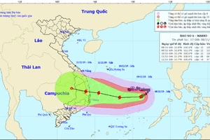 Thủ tướng yêu cầu ứng phó khẩn cấp với bão số 6