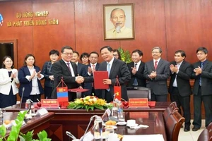 Mông Cổ muốn bán nhiều sản phẩm từ xương ngựa vào VN