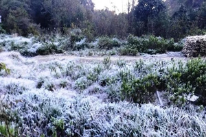 Chuyên gia khí tượng lý giải hiện tượng ngày ấm, đêm lạnh cóng