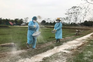 Xuất hiện 34 ổ dịch cúm gia cầm trên cả nước 