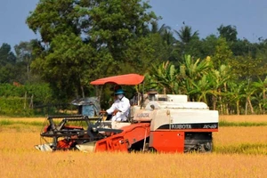 Hỏa tốc đề nghị hải quan cho xuất khẩu gạo nếp kịp thời