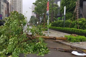 Áp thấp nhiệt đới sắp hình thành trên biển Đông