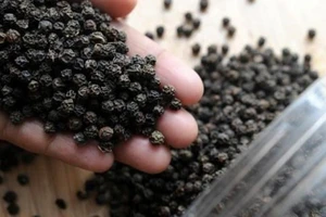 Hồ tiêu Việt mắc kẹt tại Nepal được tái xuất về nước