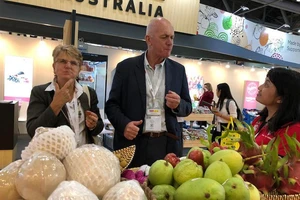 Trái cây Việt Nam hết tắc đường sang Mỹ