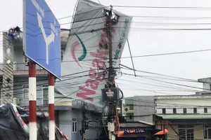 Tổng Giám đốc EVN: Sớm cấp điện trở lại sau bão số 9