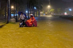 Khẩn: Yêu cầu đảm bảo hệ thống đê điều ở Nghệ An, Hà Tĩnh