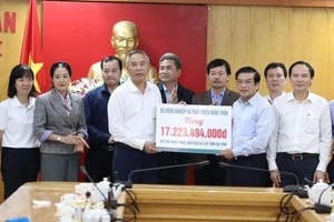 Dồn sức khôi phục sản xuất nông nghiệp ở miền Trung