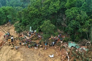 Một loạt địa phương xin chuyển mục đích sử dụng rừng tự nhiên