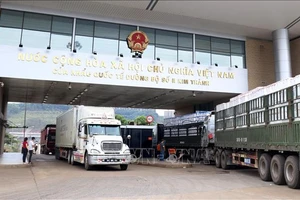 Quy định mới về hàng tạm nhập tái xuất, chuyển khẩu 