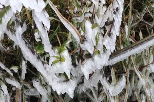 -1.8 độ, băng tuyết giăng khắp đỉnh Mẫu Sơn