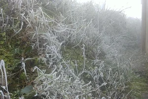 Miền Bắc chìm trong giá lạnh, nhiều tỉnh còn 8,6 độ