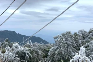 Đường dây điện, trạm biến áp ở Cao Bằng bị băng tuyết bao phủ
