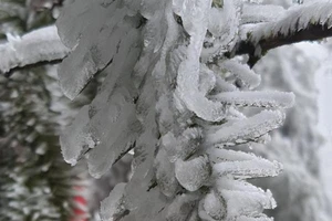 Mưa tuyết rơi, Sapa như mùa đông Châu Âu