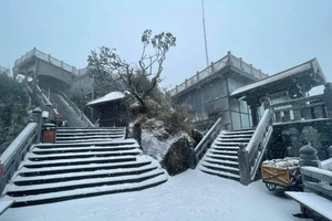 Mưa tuyết bất ngờ rơi trên đỉnh Fansipan vào 27 Tết 