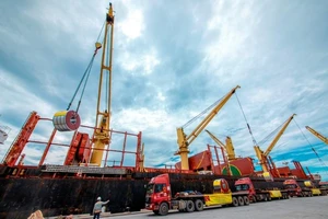 Lô thanh long khủng 2,8 tỷ 'xuất ngoại' ngày mùng 1 Tết