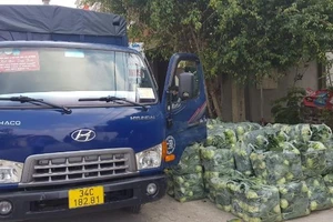 Giải cứu hàng chục ngàn con gà, quả trứng... ở Hải Dương