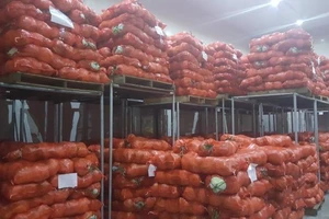 Hàng hóa chất đống vì nhiều tỉnh 'cấm' xe từ Hải Dương