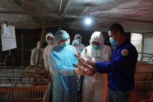 Phấn đấu xuất khẩu 50 triệu USD thuốc, vắc xin thú y mỗi năm