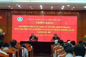 Viêm da nổi cục ở trâu, bò không lây nhiễm, gây bệnh ở người