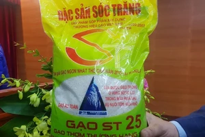 Bộ NN&PTNT sẽ mua lại bản quyền giống lúa ST24, ST25?