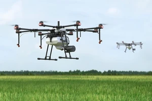 Thuê máy bay không người lái phun thuốc cho lúa vùng phong tỏa