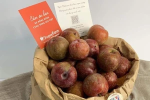 Đặc sản xoài tròn quý chính thức lên chợ online