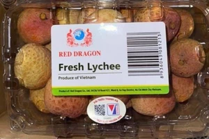 Mỗi tuần, Singapore tiêu thụ ít nhất 1 container vải thiều Việt Nam