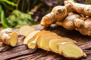 850.000 đồng/kg gừng tươi bán tại Úc