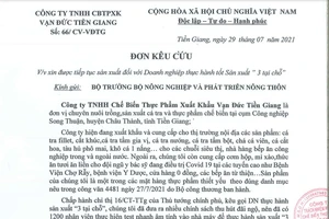 Bị ngừng sản xuất đột ngột, 1 công ty '3 tại chỗ' ở Tiền Giang kêu cứu 