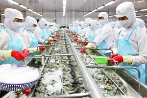 Nguy cơ khủng hoảng thiếu gà, vịt... vì nông dân gặp khó