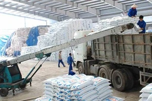 Giá phân bón tăng khủng, đề nghị Bộ Công Thương vào cuộc