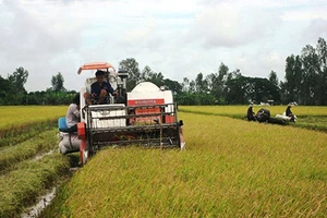 Lúa gạo ùn tắc, Bộ Công Thương kiến nghị khẩn