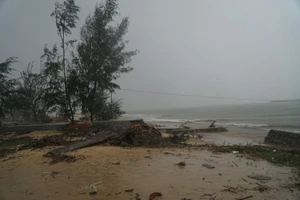 Áp thấp nhiệt đới có thể mạnh lên thành bão ở biển Đông 